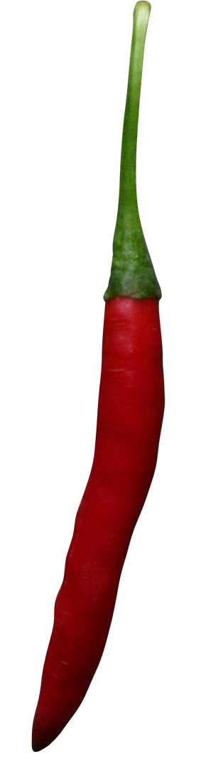 Red Chilly, Red Chilly png, Red Chilly png image, Red Chilly transparent png image, Red Chilly png full hd images download
